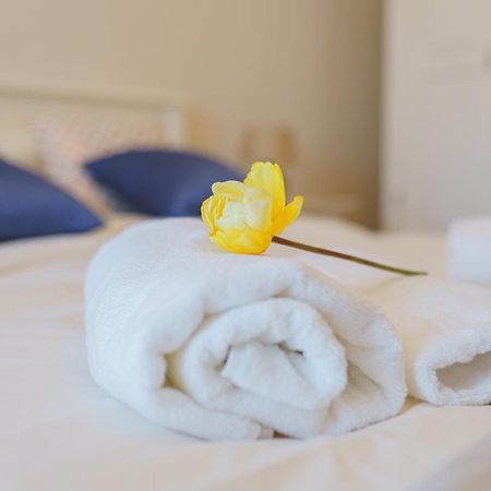 5* Mansion In City Center Cluj-Napoca Eksteriør bilde